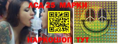 СК Кингисепп