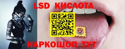 СК Кингисепп