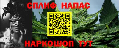 СК Кингисепп