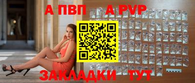 СК Кингисепп