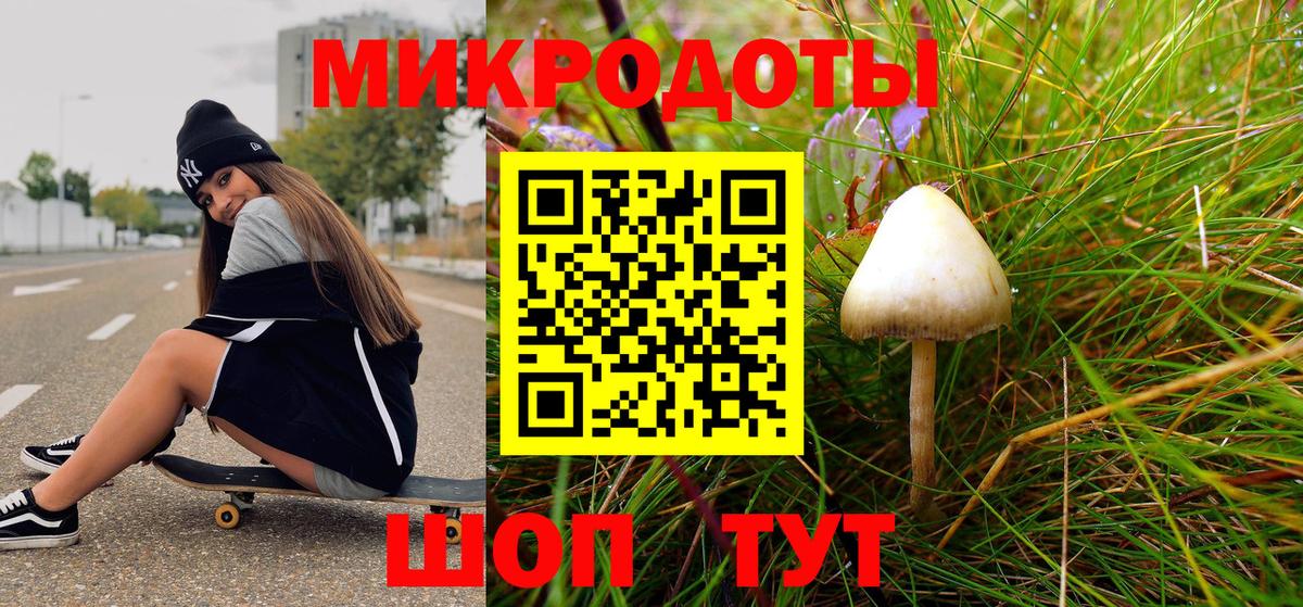 Галлюциногенные грибы прущие грибы Котлас